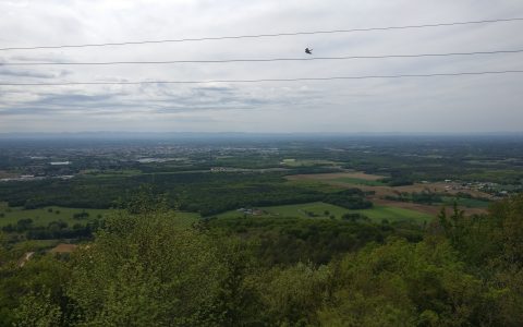 Vue 1