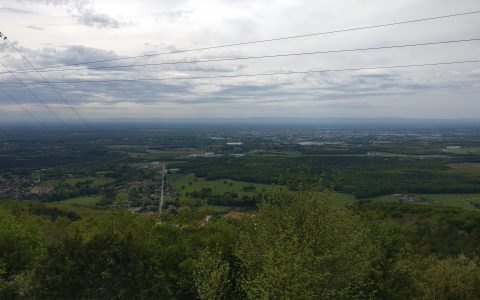Vue 2